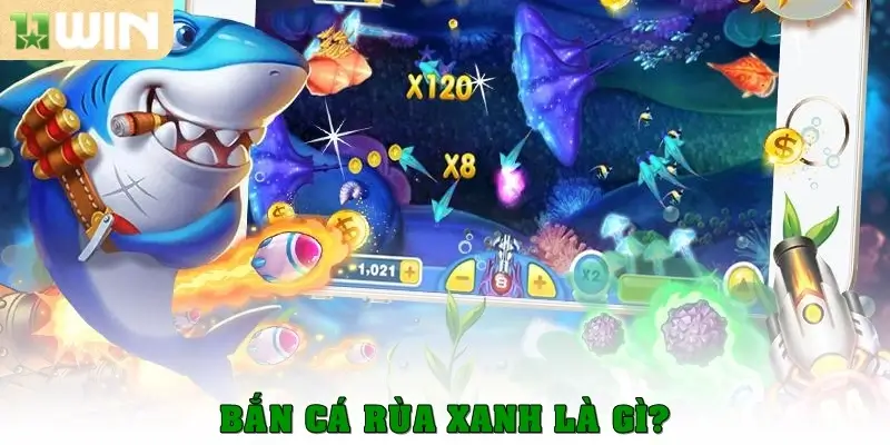 Bắn cá rùa xanh là gì?