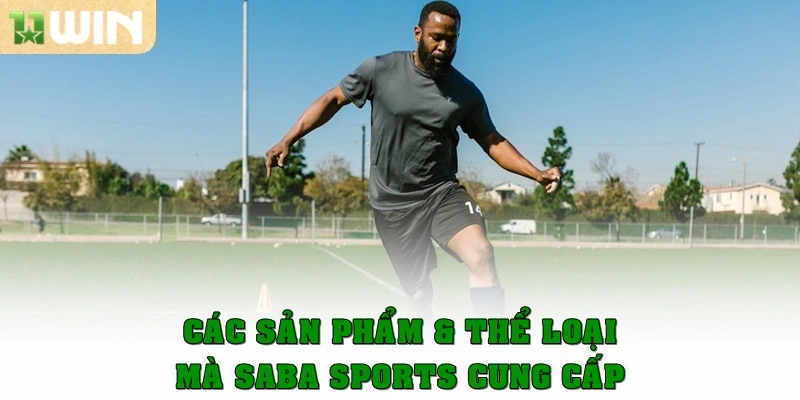 Các sản phẩm và thể loại mà SABA Sports cung cấp