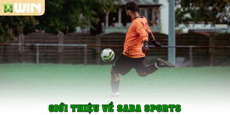 Giới thiệu về SABA Sports