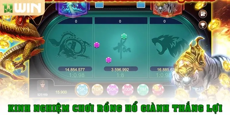 Kinh nghiệm chơi rồng hổ giành thắng lợi
