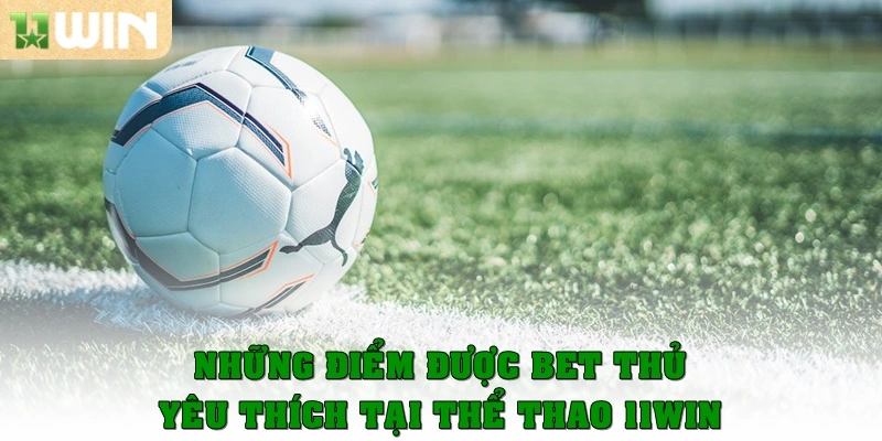 Những điểm được bet thủ yêu thích tại thể thao 11WIN