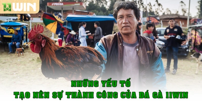 Những yếu tố tạo nên sự thành công của đá gà 11WIN